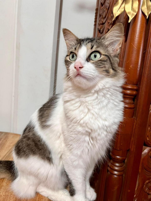 Max