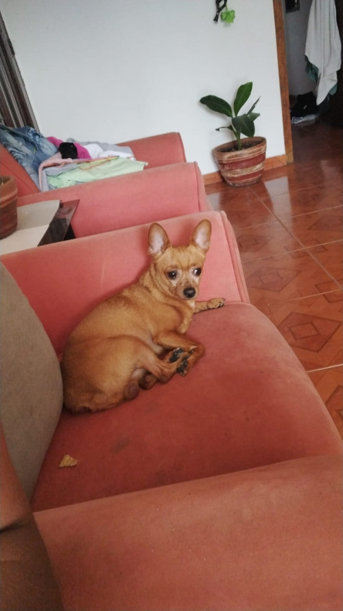 Theo