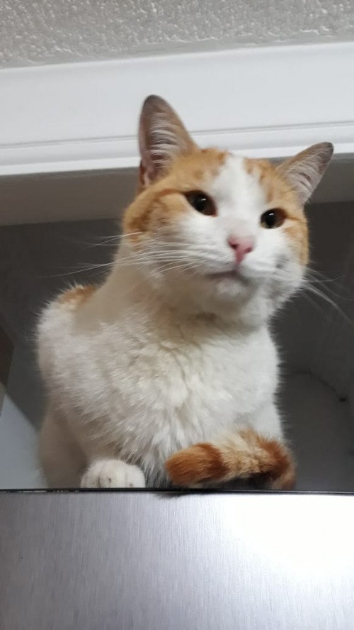 George