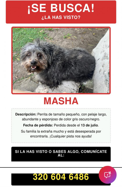 Masha