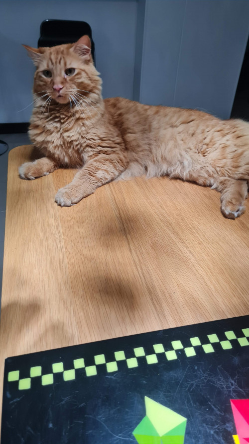Ragnar