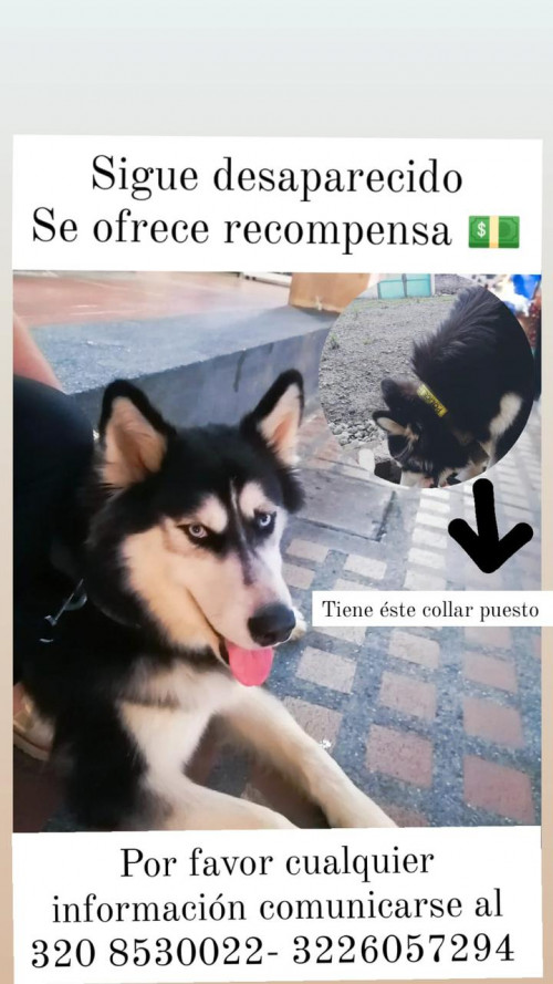 Titán