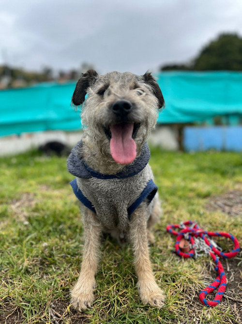 Max