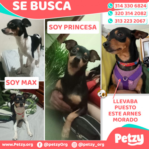 Max Y Princesa