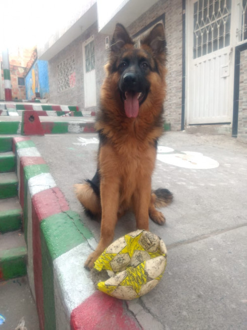 Thor