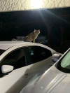 Foto de Tiger en Villa Del Rosario Norte de Santander #9