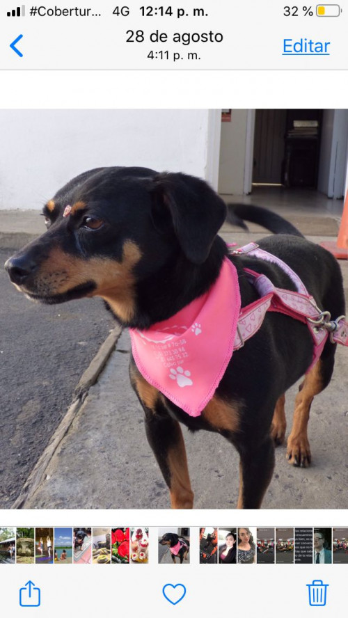 Maggy