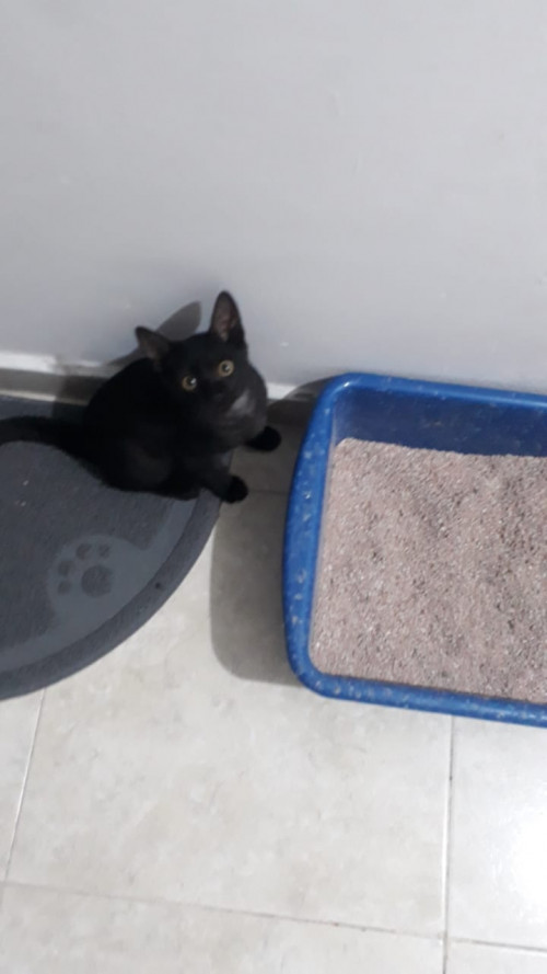Max