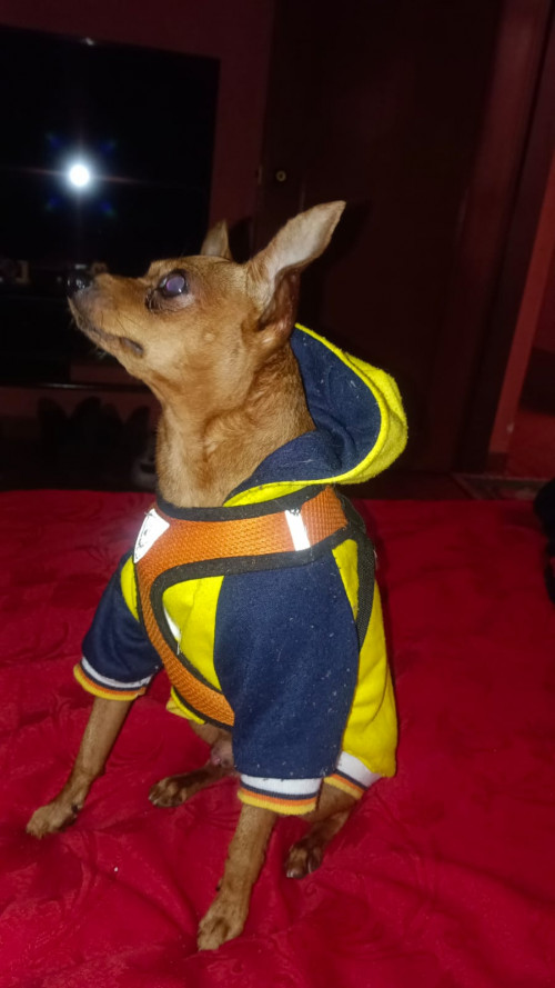 Kaiser