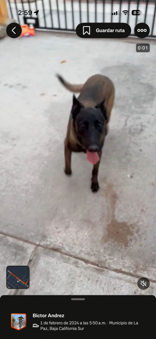Kiko