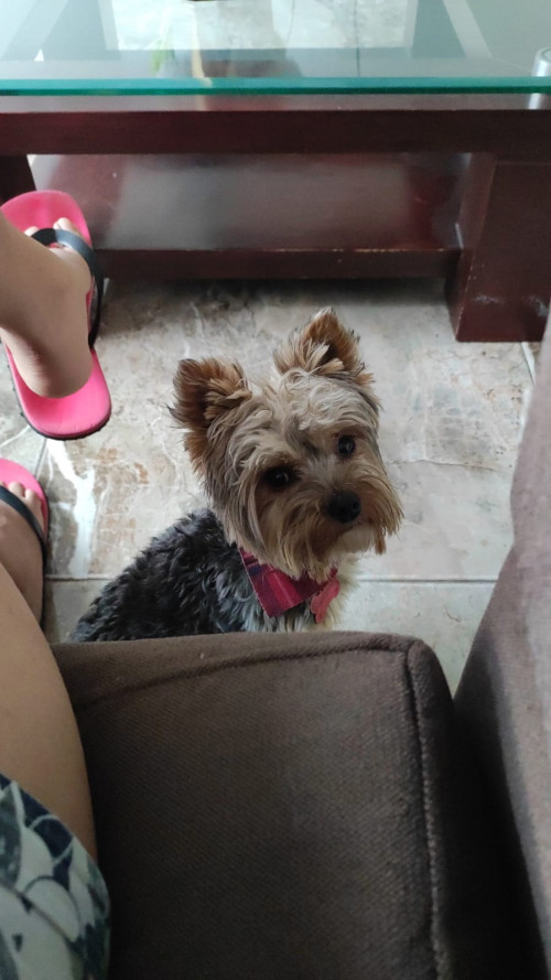Max
