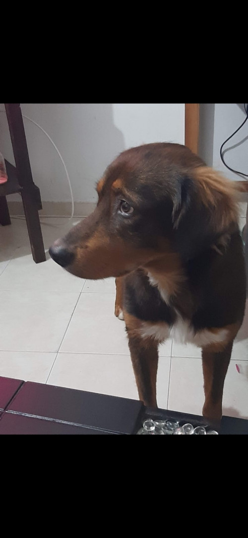 Kaiser