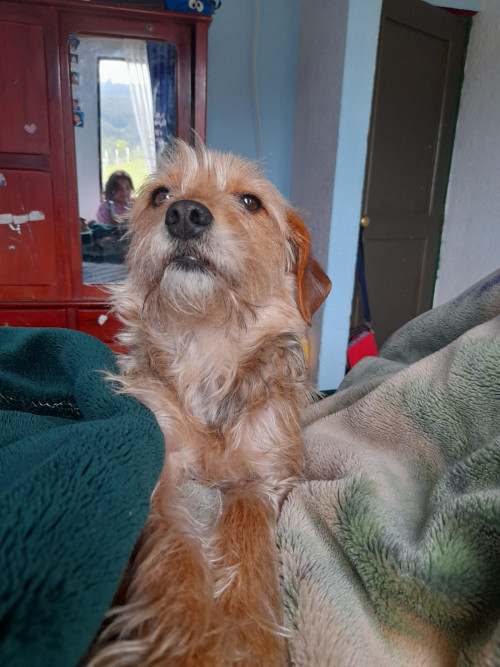 Teo