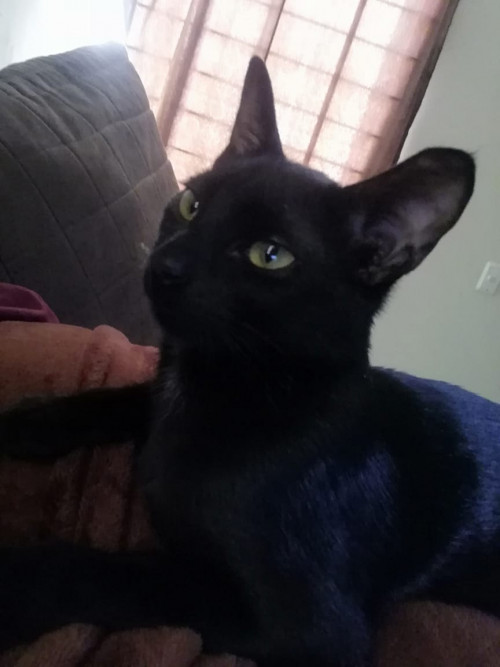 Luna