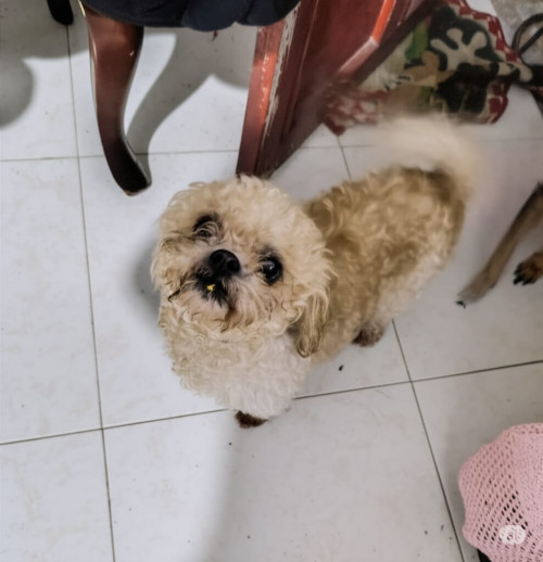 Lupita