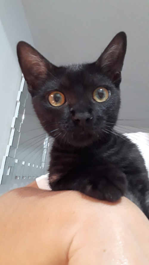 Max
