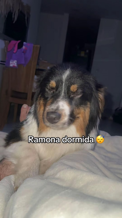 Ramona