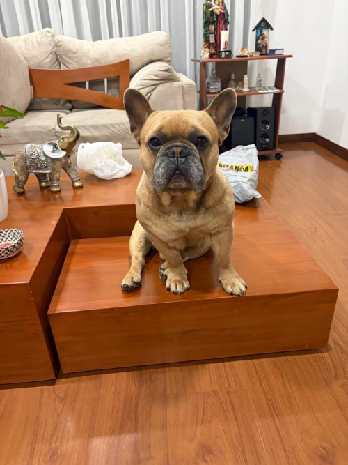 Max