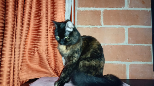 Lu