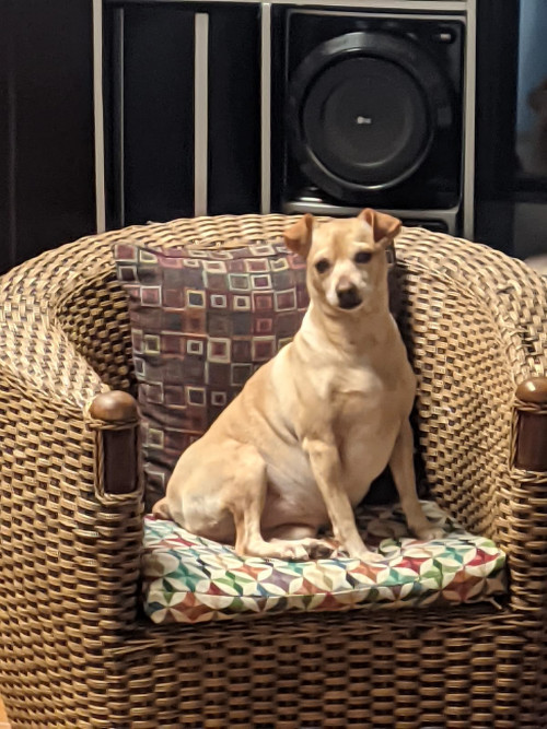Lulú