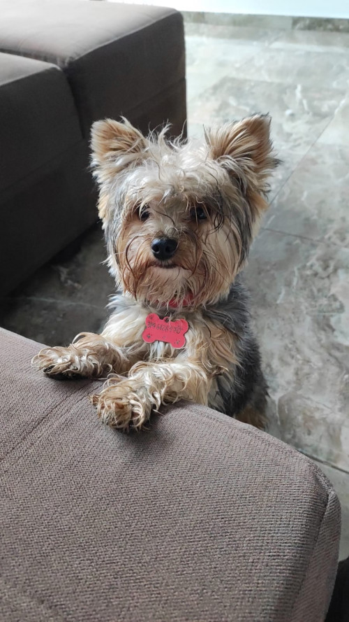 Max