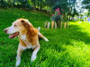 Foto de Joshi Fernando en Villavicencio Meta #7