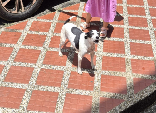Paco Marcelo