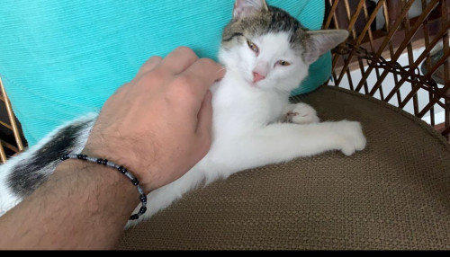 Coco