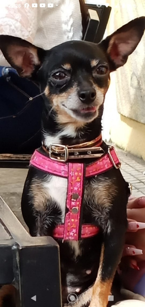 Betty