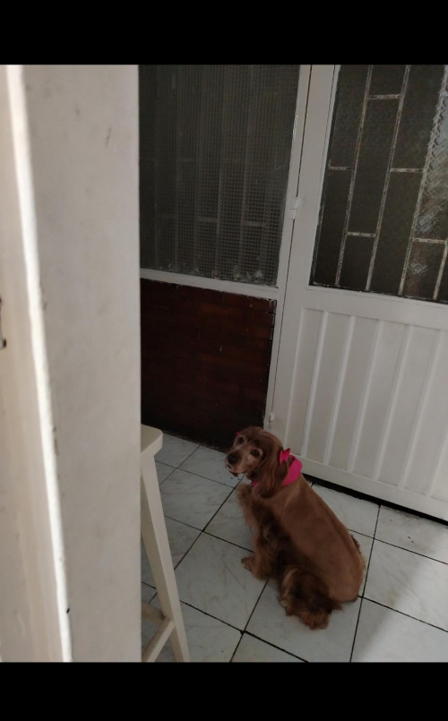 Princesa