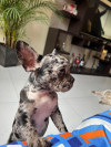 Foto de Noah Chinchilla en Neiva Huila #1