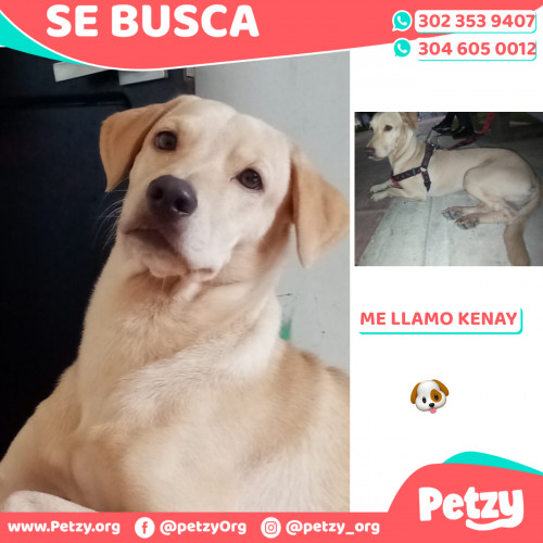 Foto de mascota Kenay