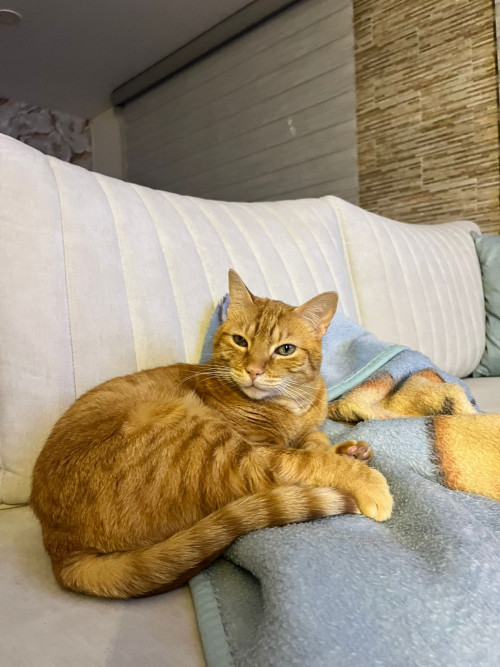 Zoe