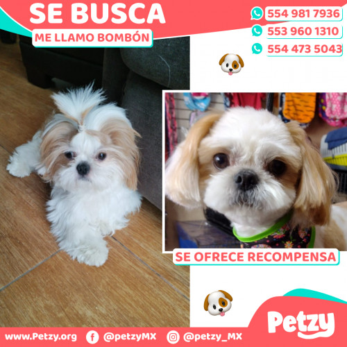 Banner de Bombón