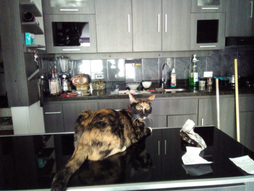 Cuki