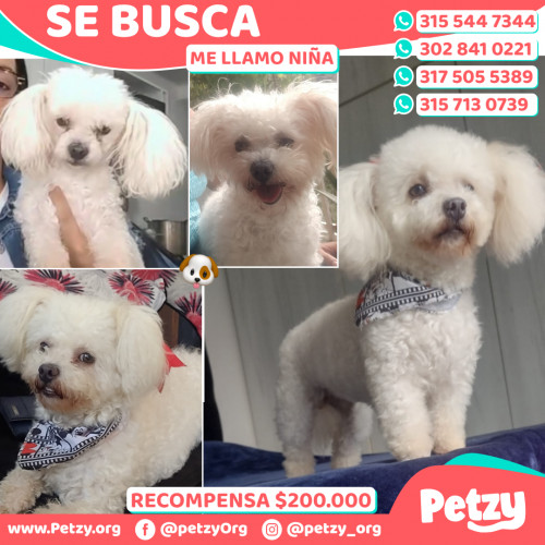 Banner de Niña