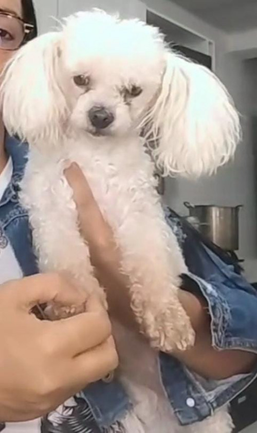 Niña