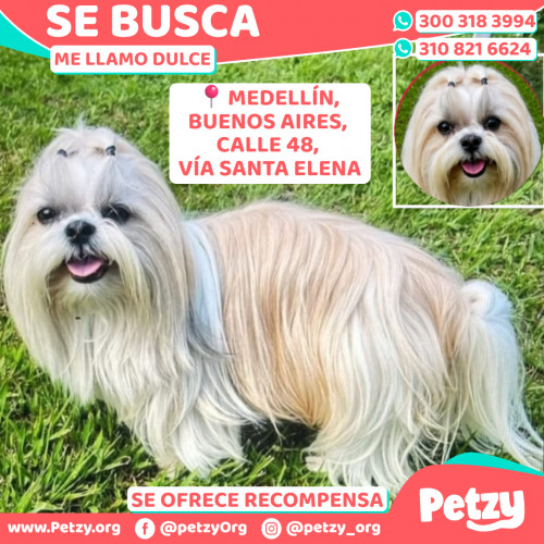 Dulce