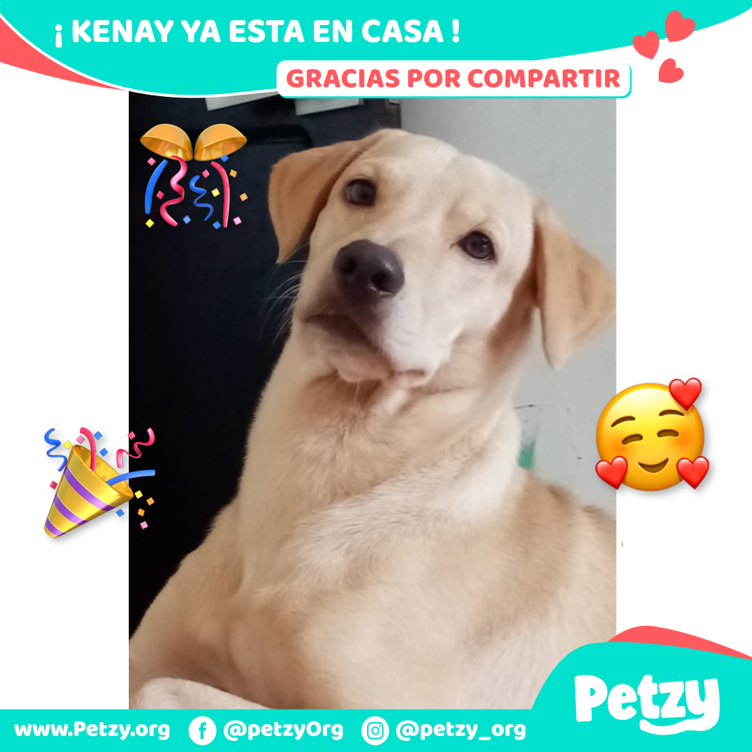 Kenay