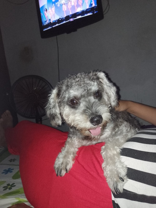 Lucas