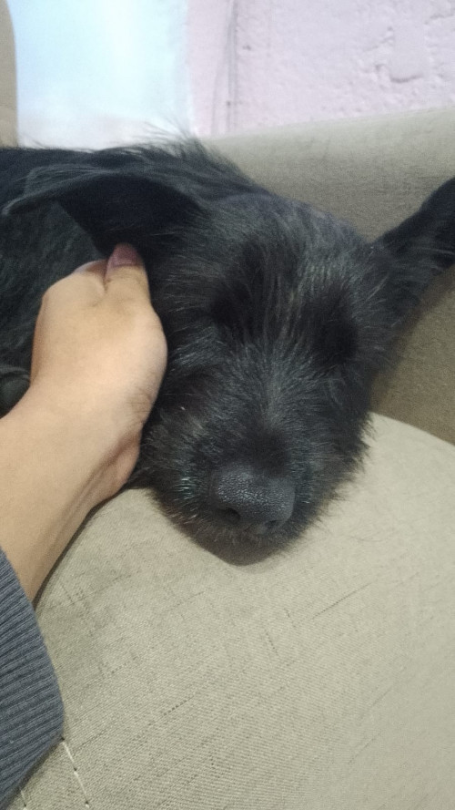 Luna