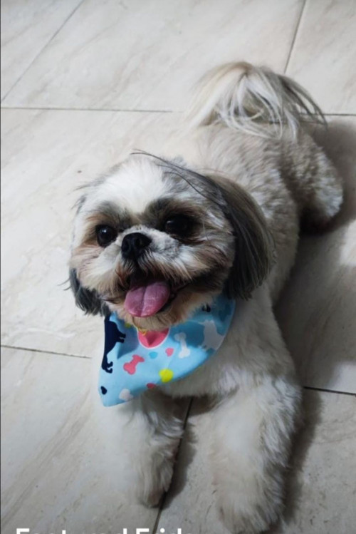 Toby