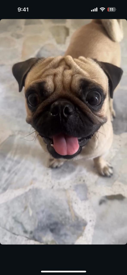 Rocky