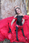 Foto de Sowy en Soacha Cundinamarca #11