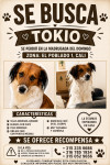 Foto de Tokio en Cali Valle del Cauca #9