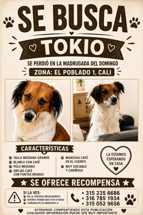 Tokio