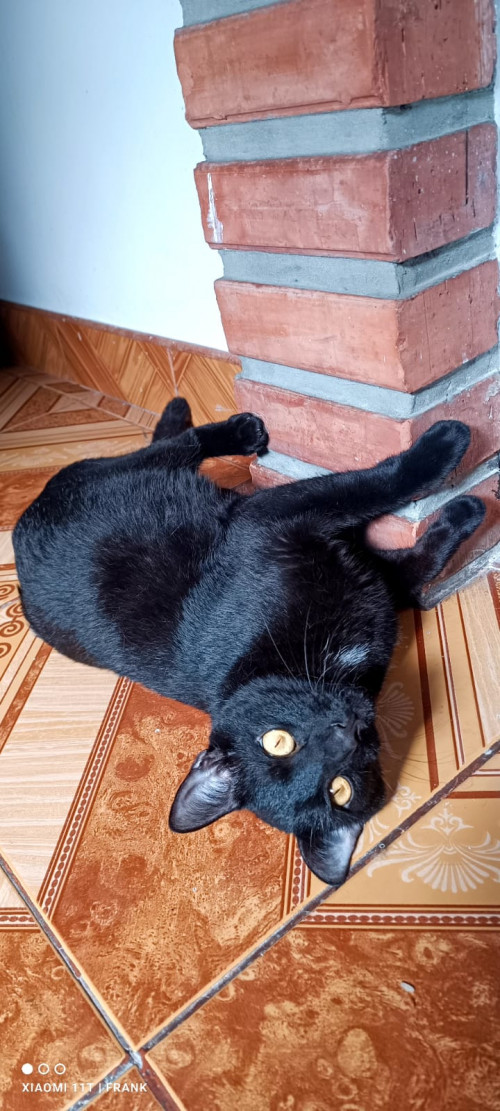 Salem