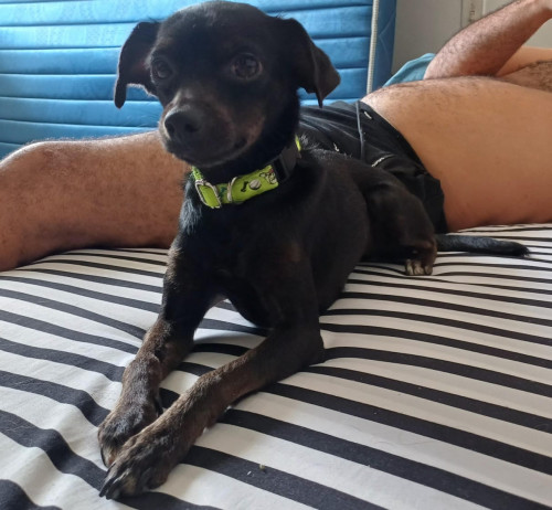 Zuni