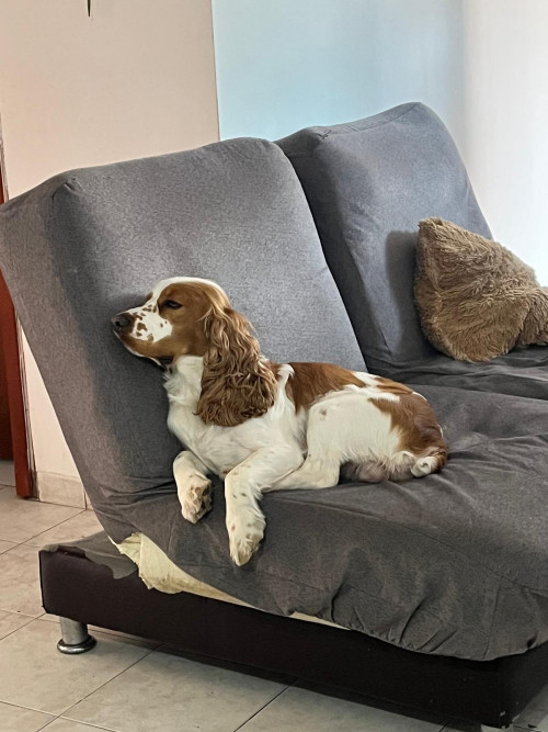 Max