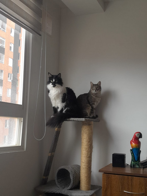Michi Y Mia